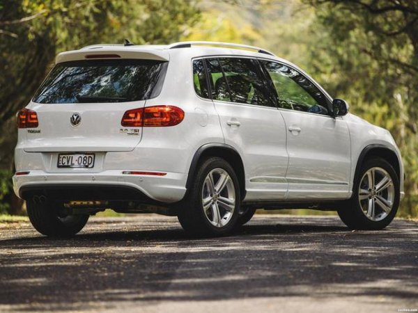 Volkswagen Group в момента има цели 15 модела, които достигат крайния етап от търговския си живот. Сред най-забележителните са Volkswagen Tiguan, който се продава от септември 2015 г., Audi A4, който е на пазара от юни 2015 г., Audi Q5, който беше представен през септември 2016 г., и Porsche Panamera, чието второ поколение беше разкрито на обществеността през юни 2016 г.

За други модели като Audi Q7, Seat Ateca, Skoda Kodiaq, Skoda Superb, Volkswagen Atlas и Porsche 718 също са планирани нови продукти през годината.